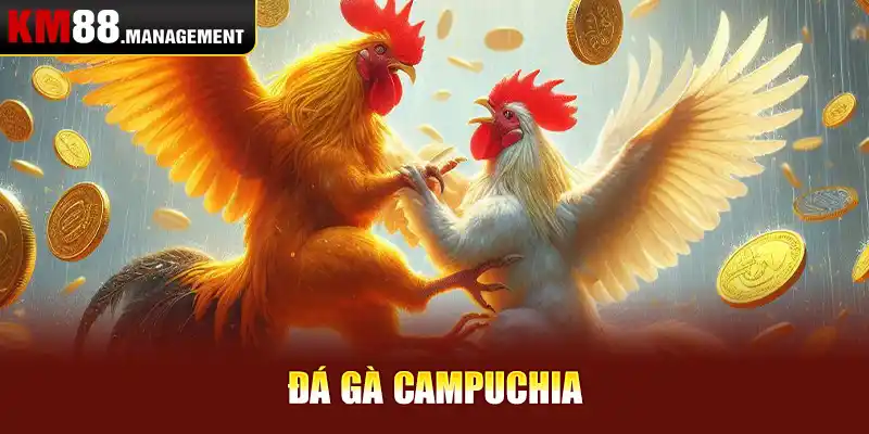 Đá gà Campuchia