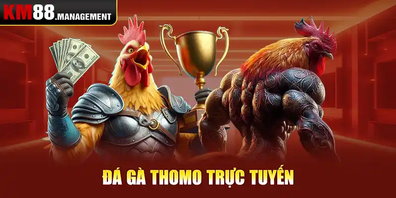 Đá gà Thomo trực tuyến