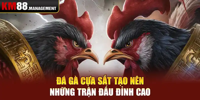 Đá gà cựa sắt tạo nên những trận đấu đỉnh cao