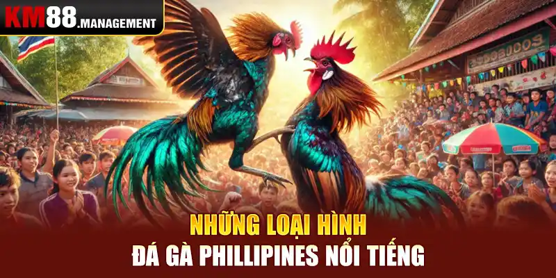 Những loại hình đá gà̀ phillipines nổi tiếng