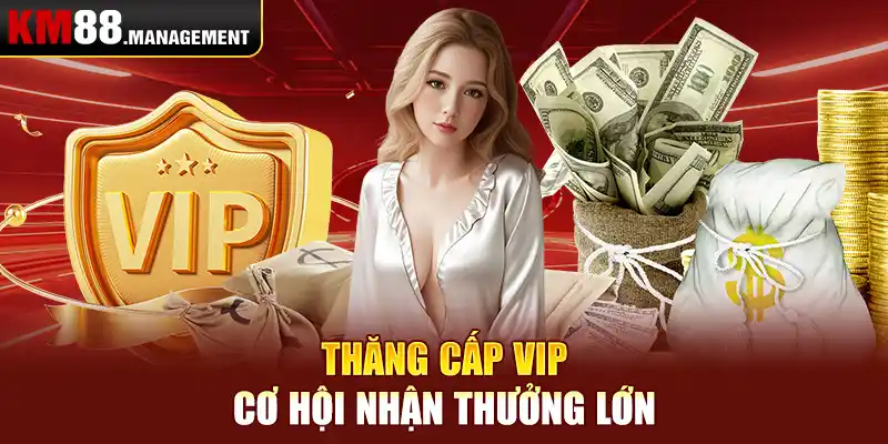 Thăng cấp VIP – cơ hội nhận thưởng lớn