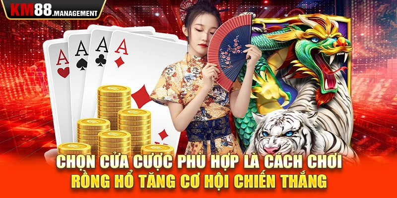 Chọn cửa cược phù hợp là cách chơi Rồng Hổ tăng cơ hội chiến thắng