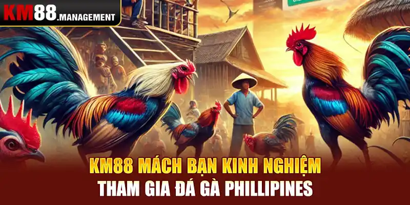 Km88 mách bạn kinh nghiệm tham gia đá gà̀ phillipines