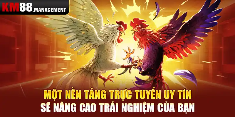 Một nền tảng trực tuyến uy tín sẽ nâng cao trải nghiệm của bạn